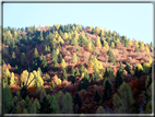 foto Da Rocca di Arsie al Col di Baio